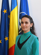 Prof.univ.dr.ing. Simona Miclaus