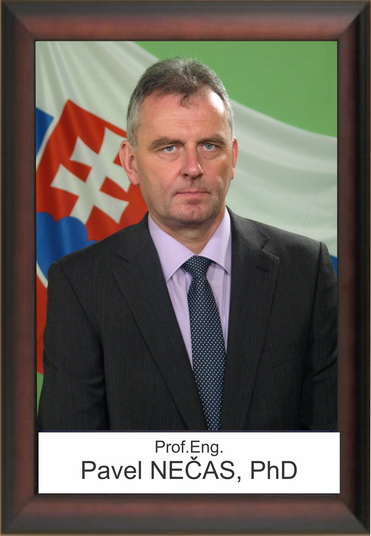 Prof.univ.dr.ing.dipl. Pavel NECAS